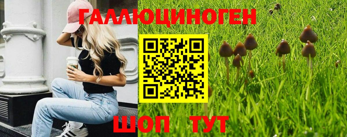 где найти   Вход с VPN  Узловая  Галлюциногенные грибы мицелий 